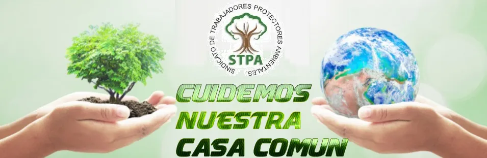 cuidemosnuestracasacomun-stpa