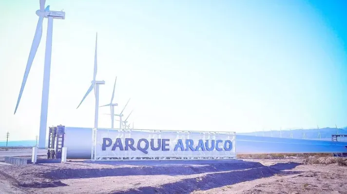 arauco3
