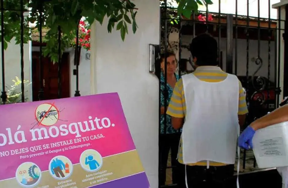 dengue2