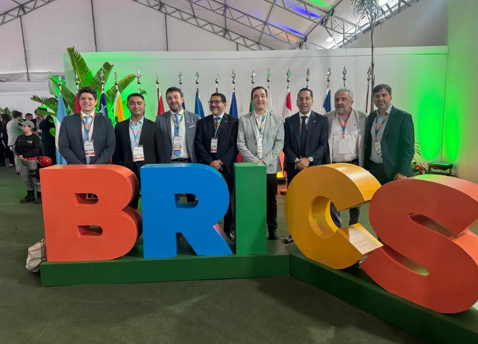 grasso brics